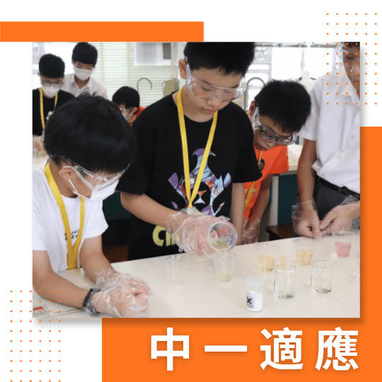 Secondary 1 adaptation